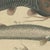 Bertuch, Five Catfish with Long Barbels, 1815, Print For Sale - Image 4 of 12