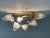 Italian Palmetta Wall Sconce in Murano Glass from Simoeng For Sale - Image 10 of 12