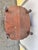 Early 20th Century 1920s Humidor Table Stand Cigar Box Storage For Sale - Image 5 of 6