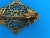 Victorian Brass Hand & Gavel Door Knocker, 1940s For Sale - Image 10 of 18