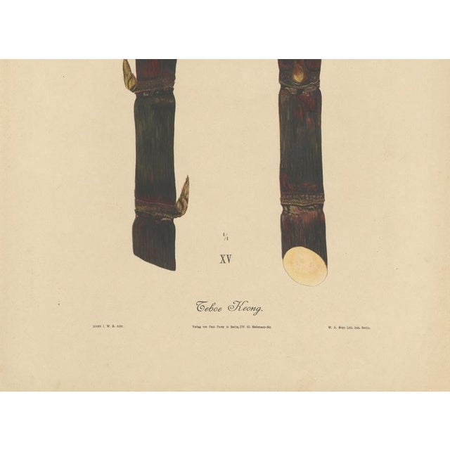 Sugarcane, 1892, Paper For Sale - Image 3 of 9