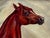 English Victorian Sporting Oil Painting of an Arabian Horse in the Bombay Stables, India, c.1900 For Sale - Image 11 of 18