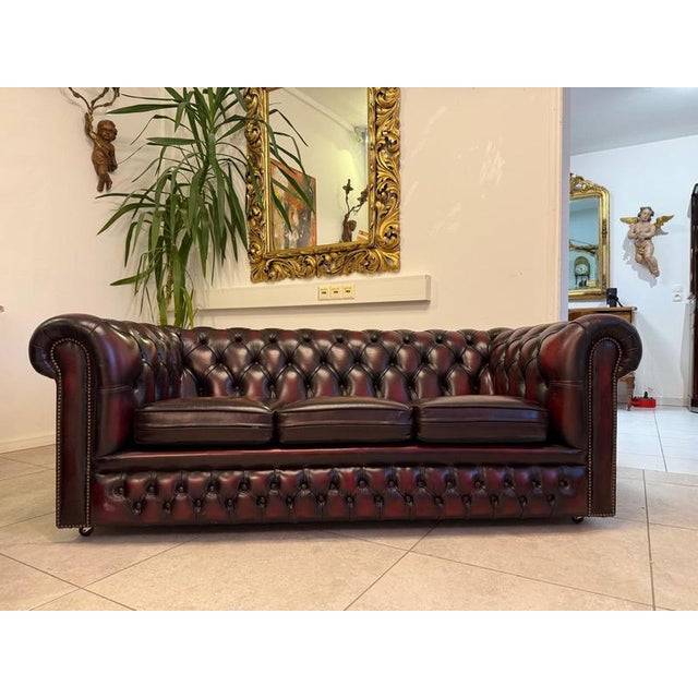 Exclusive, cozy Chesterfield 3-seater set. Dimensions: Sofa 67 x 187 x 90 cm, seat height: 40 cm; Armchair 67 x 108 x 90...