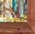 Mid Century Oil on Canvas Cityscape and River Painting - Signed and Dated For Sale - Image 4 of 10