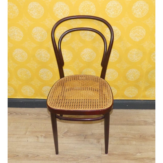 Vintage Bentwood Chairs by Michael Thonet for Thonet, 1960s, Set of 6 For Sale - Image 6 of 13