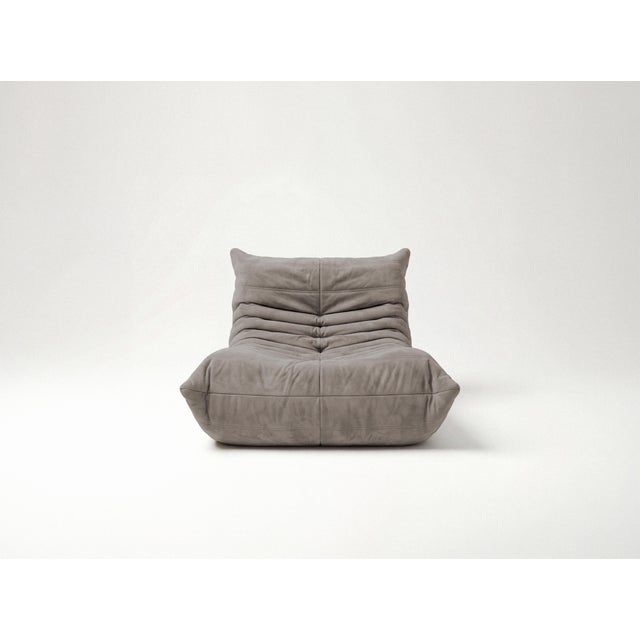 Gray Togo Sofa in Warm Grey Microfiber by Michel Ducaroy for Ligne Roset, Set of 5 For Sale - Image 8 of 14