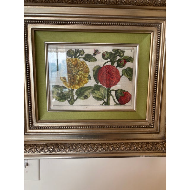 Italian Antique Italian/European Botanical Engraving-Plate 8:Malva Magiore ( Hollyhock-Tree Mallow) For Sale - Image 3 of 6