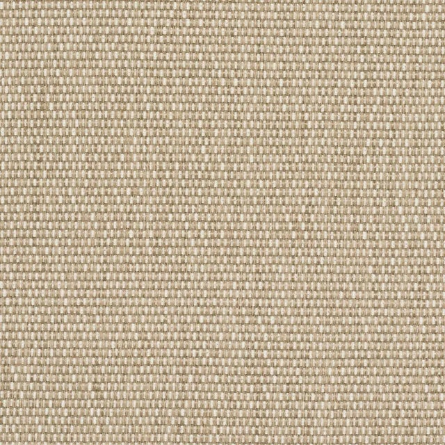 Contemporary SAMPLE - Schumacher Cooper Indoor/Outdoor Fabric In Natural For Sale - Image 3 of 3