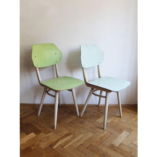 Mid-Century Modern Mid-Century Modern Dining Chairs from TON, Czechoslovakia, 1964, Set of 6 For Sale - Image 3 of 18