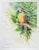Traditional Late 20th Century Barbara Mock Parrot Watercolor Painting For Sale - Image 3 of 3