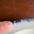 A Very Nice Antique Blue Feather-Edge Pearlware Plate, Circa 1800 For Sale - Image 13 of 13