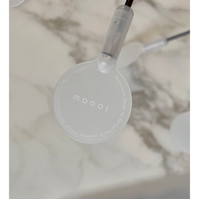 Marcel Wanders Moooi Heracleum Large Suspended Light For Sale - Image 4 of 9