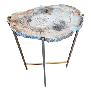 Extremely Rare Petrified Wood Slab Made Into a Table For Sale