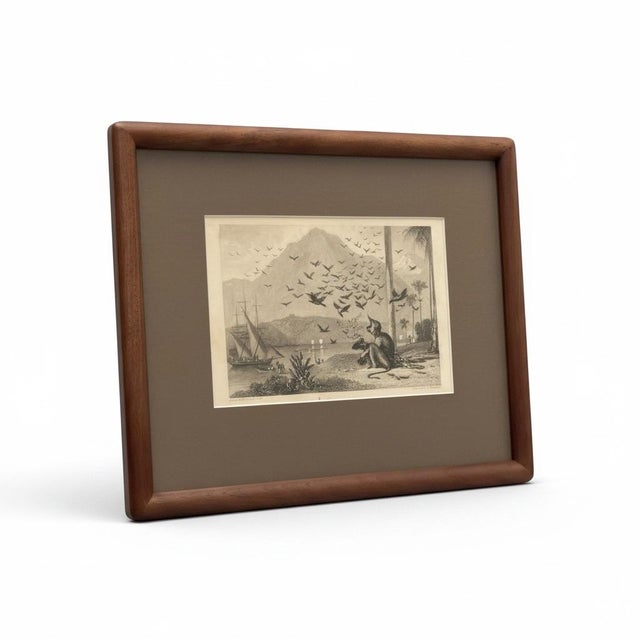 Traditional 1836 Antique Monkey and Crows Engraving by William Daniell R.A. & Brandard, Framed For Sale - Image 3 of 8
