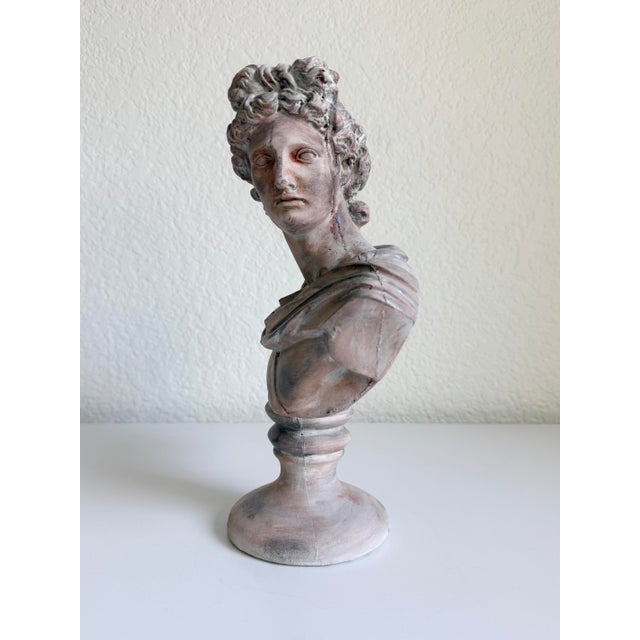 Classical Bust of Apollo Belvedere, Early 21st Century For Sale - Image 4 of 12
