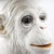 Black Large Hollywood Regency Monkey Sculpture / Cachepot in Majolica, Italy, 1960s For Sale - Image 8 of 13