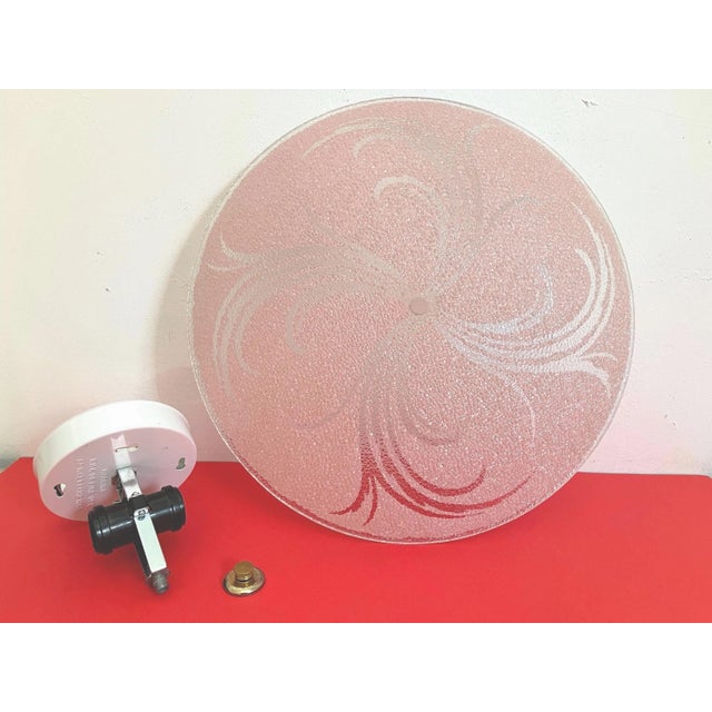 1950s Pink Leaf Sprays Ceiling Light For Sale - Image 15 of 16
