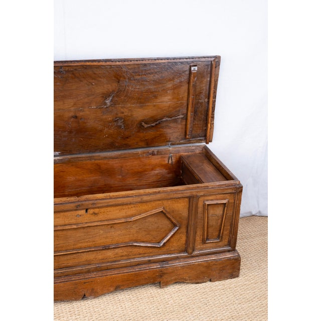 19th Century Italian Blanket Chest For Sale - Image 11 of 13