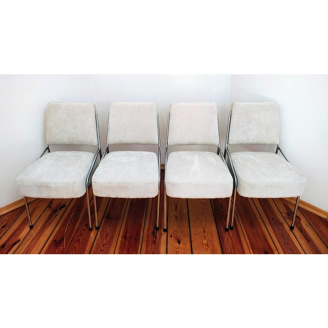Bauhaus Dining Chairs attributed to Hynek Gottwald, Czechoslovakia, Set of 4 For Sale - Image 9 of 14