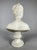Stone After Jean-Antoine Houdon, Bust of Diana, 19th Century, Marble For Sale - Image 7 of 9