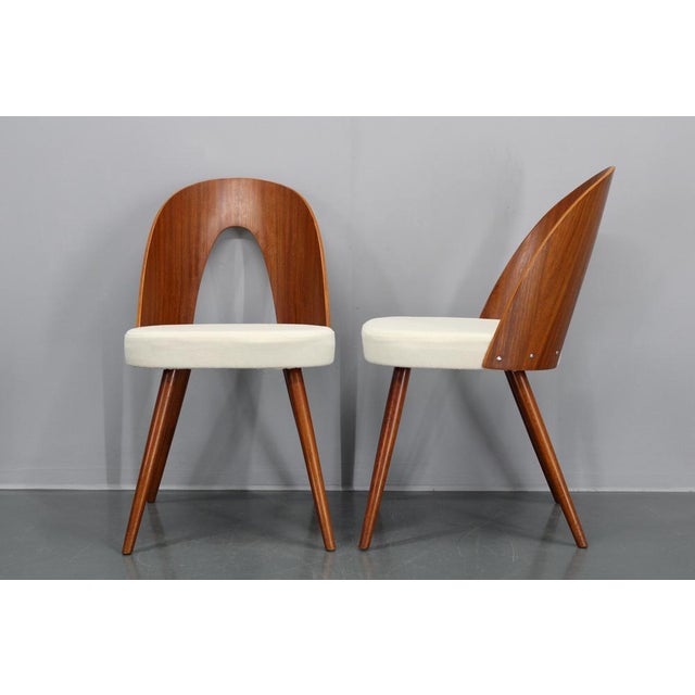Set of Antonin Suman Chairs in Walnut Finish, 1960s For Sale - Image 14 of 17