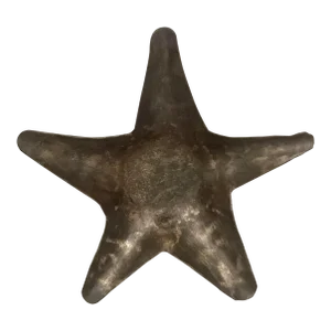 Metal Star Trinket Tray Catchall
