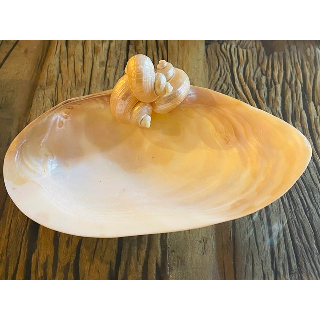 Shabby Chic Large Clam Sea Shell Vide Poche Dish For Sale - Image 3 of 3