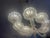 Murano Glass Chandelier attributed to Barovier & Toso, 1940s For Sale - Image 4 of 18