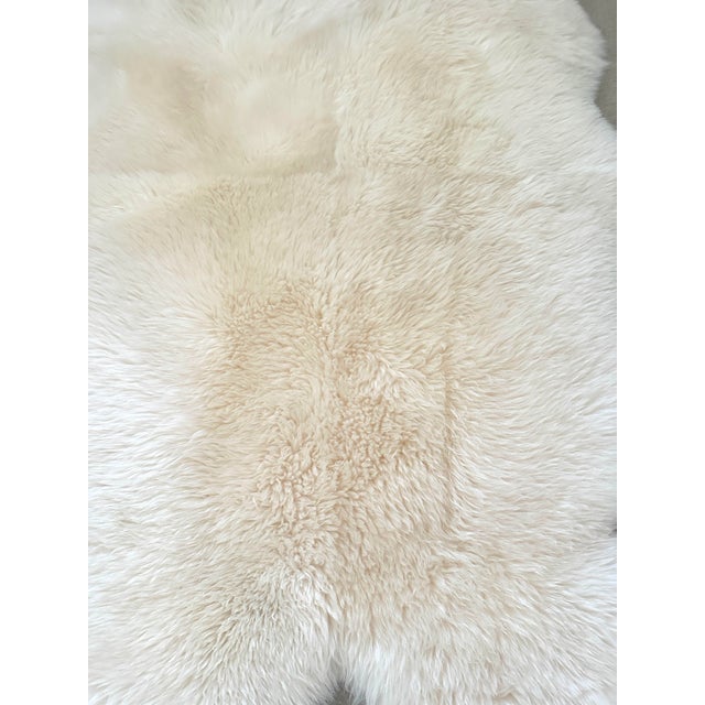 2020s Pottery Barn Style Cream Austrialian Sheep Skin Hide For Sale - Image 5 of 5