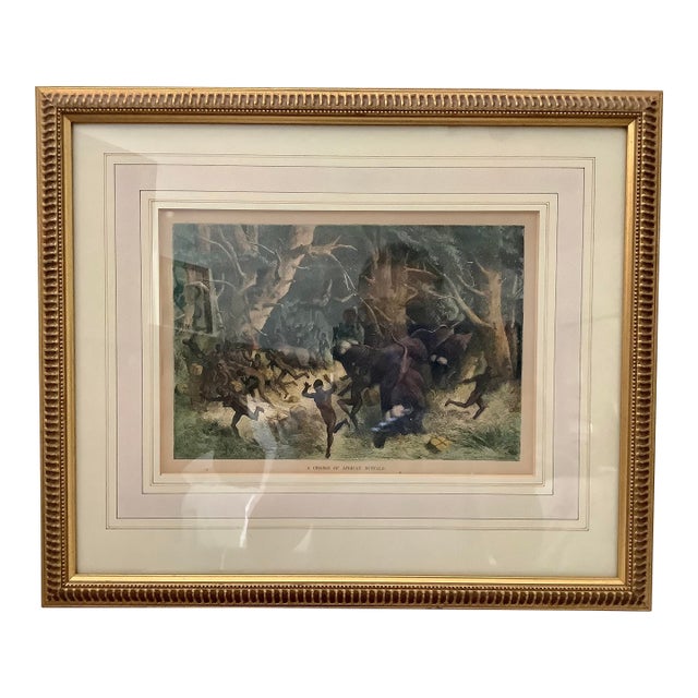 Charge of African Buffalo Lithograph For Sale
