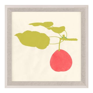 Bright Pomona Fruit 1, Framed Artwork For Sale