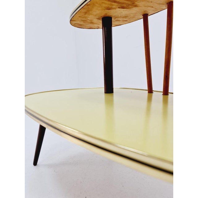 Brown Large German Plant Stand, 1950s For Sale - Image 8 of 10
