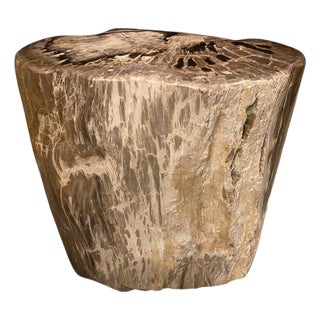 Andrianna Shamaris Ancient Petrified Wood Side Table For Sale
