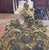 Wood Antique French Gild Wood & Plaster Wall Mirror For Sale - Image 7 of 15