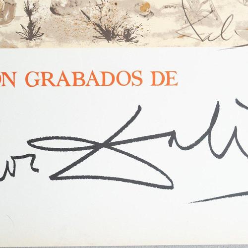 Paper Limited Edition Unframed Homage to Albrecht Dürer Poster after Salvador Dalí, 1970s For Sale - Image 7 of 10