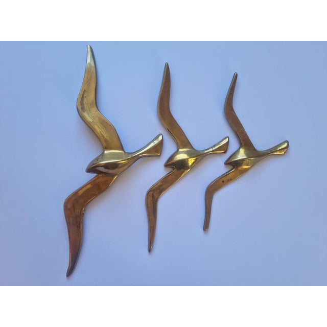Brass Wall Decor Sculptures of Seagulls, Austria, 1963, Set of 3 For Sale - Image 13 of 14