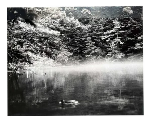 Noriko Saito, Japanese Forest Landscape, 1980s, Photographic Print, Framed