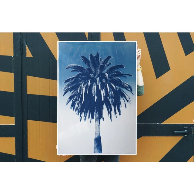 "Marrakesh Majorelle Palm", Cyanotype on Watercolor Paper, 100x70cm, Tropical Art 2020, Limited Edition For Sale In Miami - Image 6 of 9