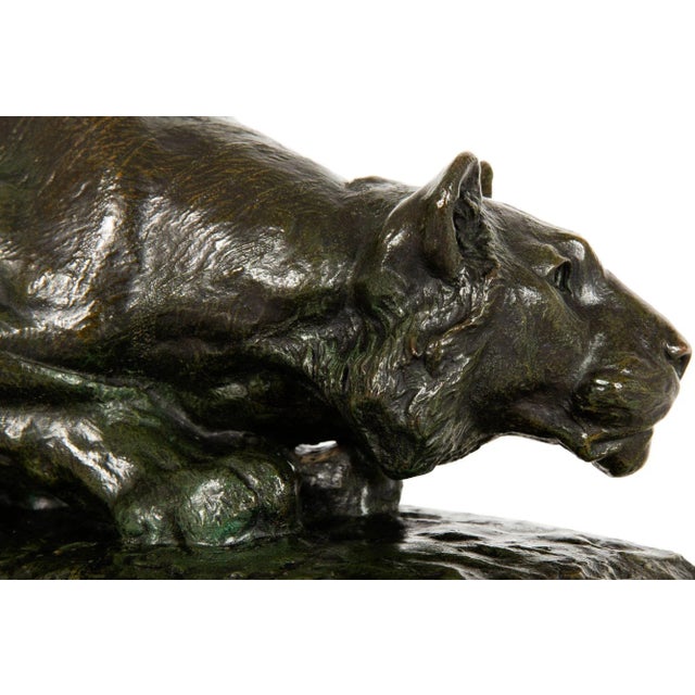 French Bronze Sculpture of Crouching Tiger by François Hippolyte Peyrol For Sale - Image 9 of 12