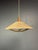 Mid-Century Modern Large Mid-Century Teak and Sisal Cord Pendant Light from Temde Leuchten, 1960s For Sale - Image 3 of 11
