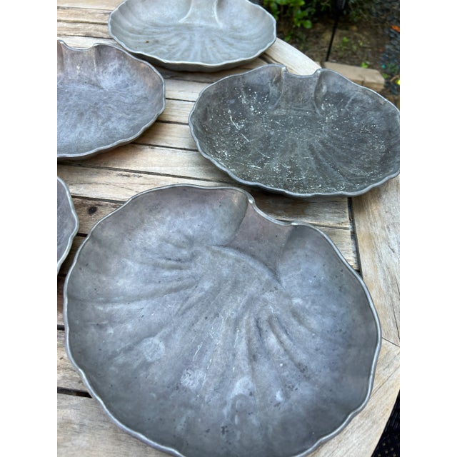 Attractive nautical shell shaped serving plates. Perfect for appetizers.