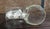 20th Century Pair of Pressed Glass Nautilus Shell Bookends or Flower Vases For Sale - Image 9 of 13