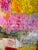 Abstract "Garden Path" Contemporary Original Abstract Painting by Sandy Welch For Sale - Image 3 of 3
