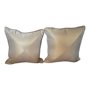 Silk Sofa Pillows With Rope Style Silk Trim- Set of 2