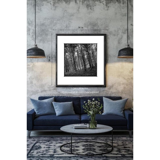 Fine art Giclee prints on Hahnemuhle Photo Rag 308gsm - a 100% cotton, acid-free, mould-made paper. Printed to Fine Art...