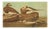 1966 Long-Tailed Ducks After John J. Audubon, XL Cottage Print For Sale