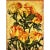 Kristine Kvitka, Roses, 2010, Oil on Canvas, in Good conditions. Designed from 2000 This piece has an attribution mark, I...