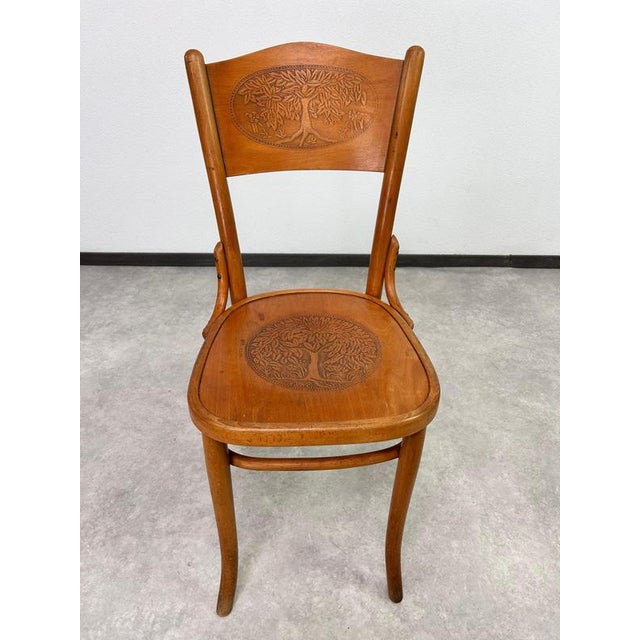 Thonet Bentwood Dining Chairs from Thonet, 1930s, Set of 2 For Sale - Image 4 of 11