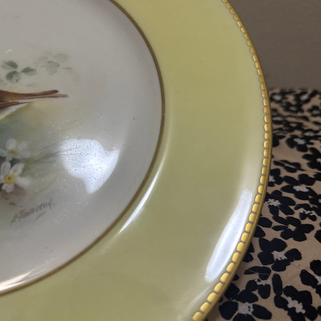 Royal Worcester Royal Worcester Hand-Painted Bird Cabinet Plate With Yellow Border For Sale - Image 4 of 7