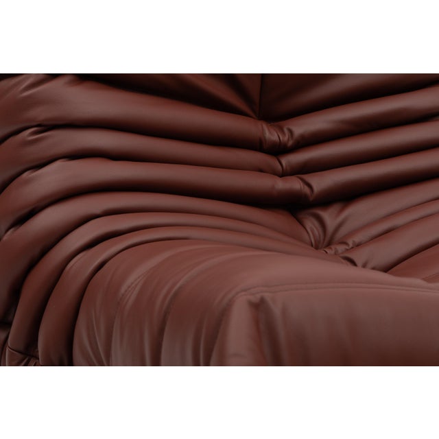 Togo Fireside Chair and Ottoman in Italian Chestnut Leather - Restored Vintage Ligne Roset For Sale - Image 13 of 16